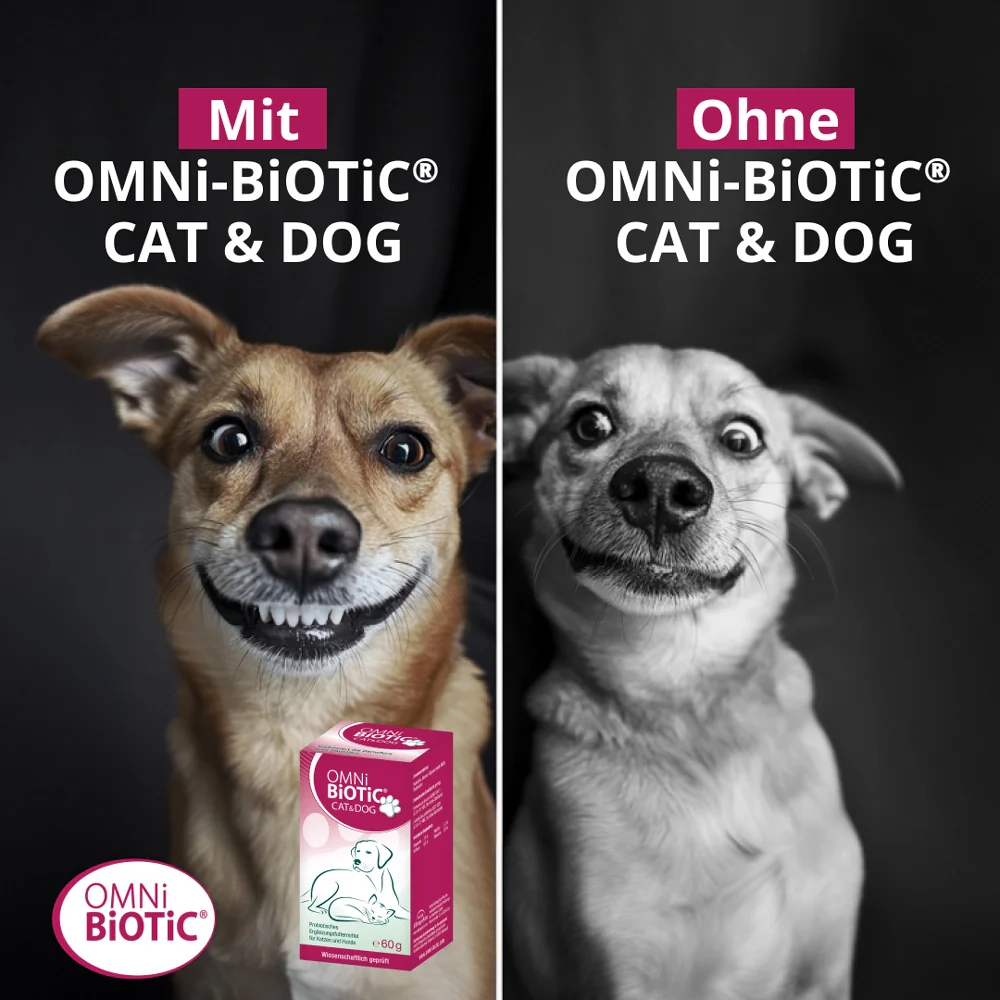 OMNi-BiOTiC® CAT & DOG - Image 6
